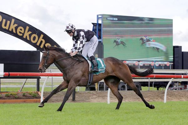 Darci La Bella vying for four straight