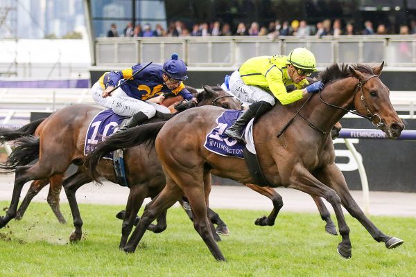 Detonator Jack ticks Doncaster boxes