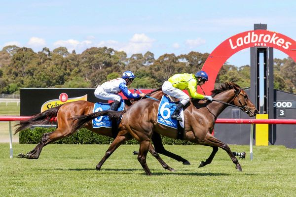 Detonator Jack delivers at Sandown