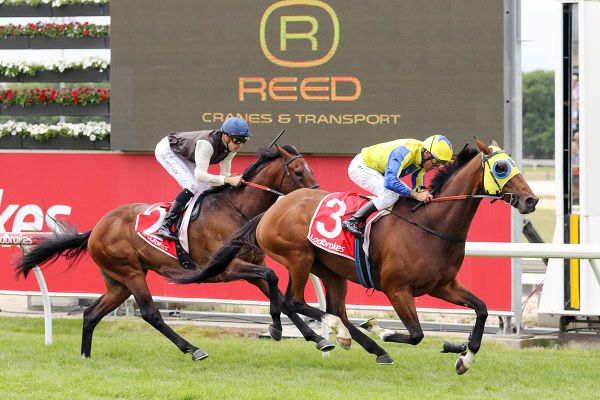 Cup test for Kissinger