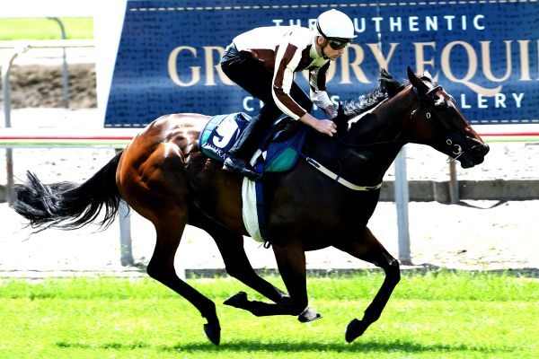 Kelso trio on song for Christmas carnival features