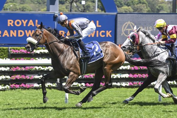 <strong>Gutsy Khan has stamina in spades</strong>