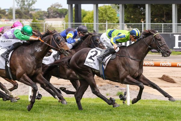 Milford poised to make amends