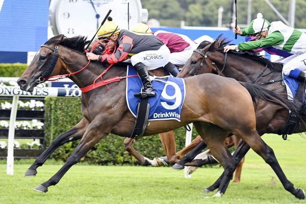 Well-travelled Tavistock mare salutes at Randwick
