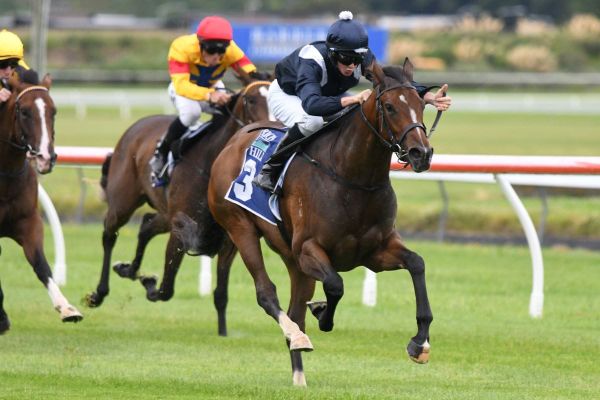 Talented two-year-old puts Staphanos on the board