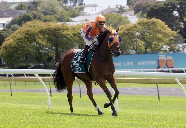 Bosson chasing Boxing Day’s top prize