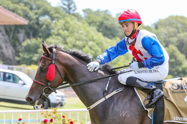 Rock Sensation set to hose in