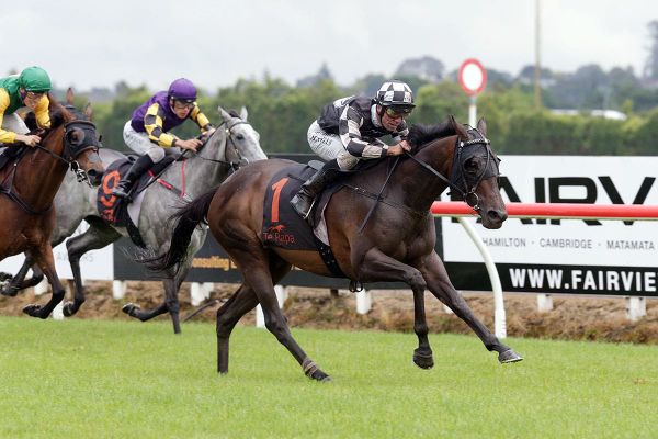 Sinarahma superior in Te Rapa feature