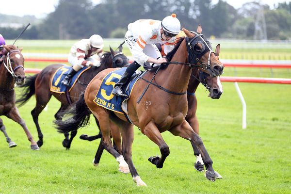 Trainers still weighing up Trentham option