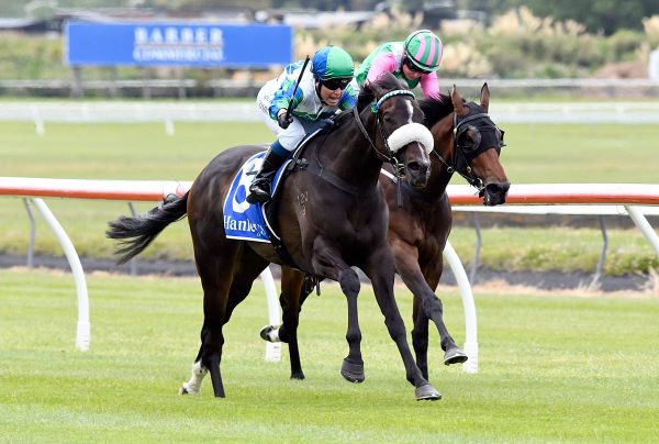 Eulogy tilt on cards for in-form filly