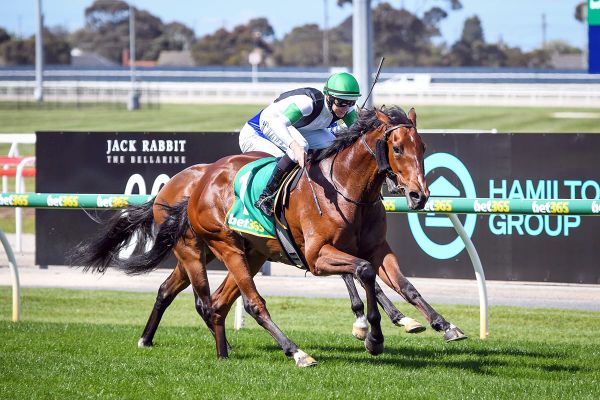 Pike’s Tutukaka back in winning groove