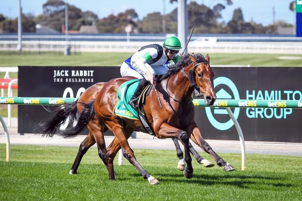 Pike keen on Tutukaka’s Cup hopes