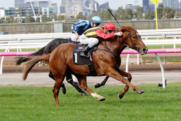 Vassilator set to make raceday return