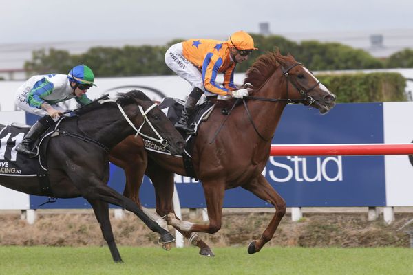 Christmas carnival targets for Walker winners