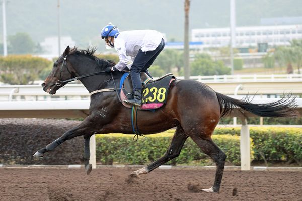 Golden Sixty tunes up for Stewards’ Cup clash
