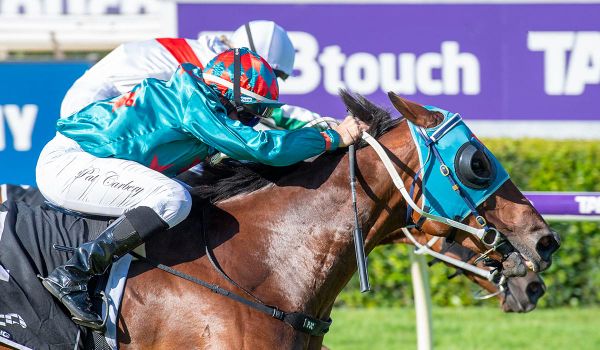 <strong>Angelic Miss shines in Scenic Blast</strong>