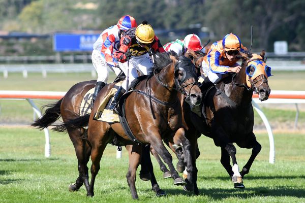 Lowry chasing third Telegraph success