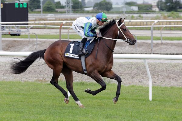 Marsh looks to youngsters to shine