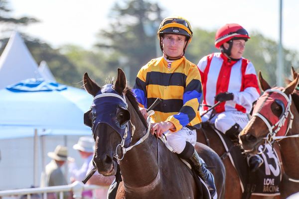 Stackie's 1000th winner