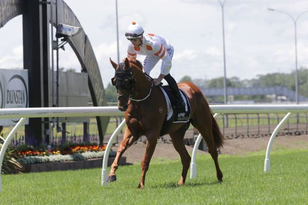 Dapper puts best foot forward