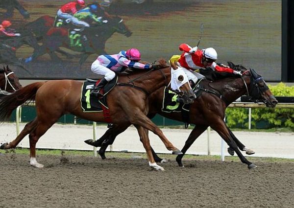 Veteran Darc Bounty wins thriller