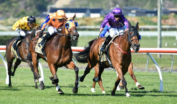 <strong>Latta looks for strong start to Trentham carnival</strong>