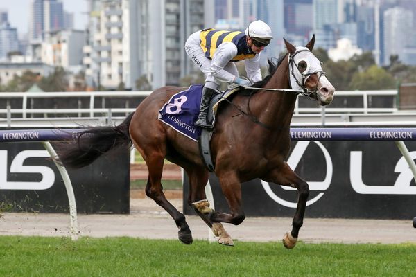 Orr Stakes hopes gallop at Sandown