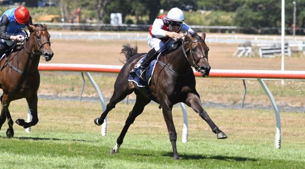 Plan B For La Crique