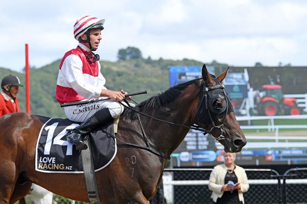 <strong>Sharrock tries different Cup approach for Ladies Man</strong>