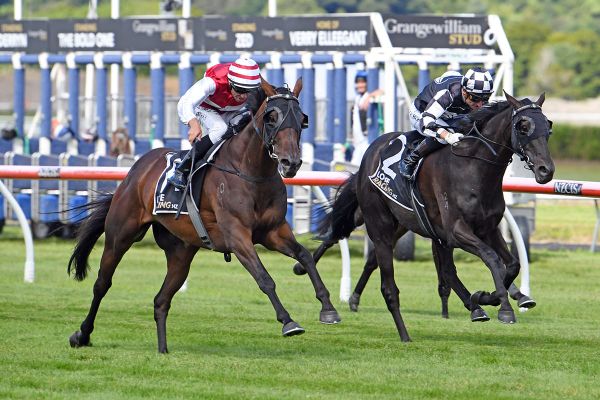 Ladies Man cements his Wellington Cup claim