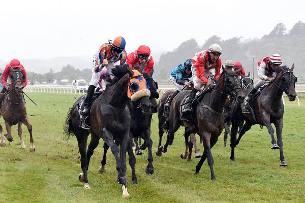 Leaderboard upsets in Wellington Cup