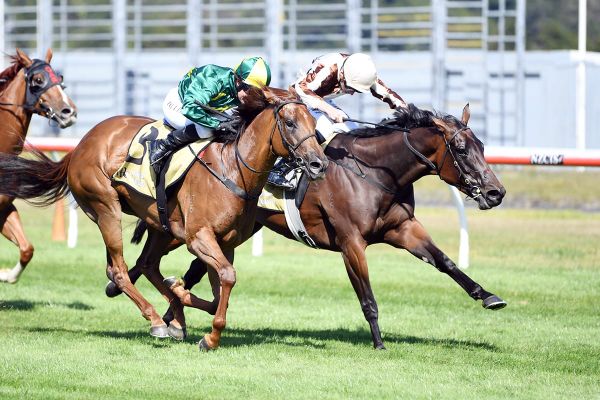 All eyes on Telegraph defence