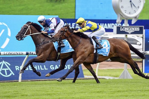 Logan Street Lion shows plenty of heart