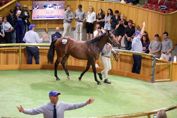 Regally-bred filly Sydney bound