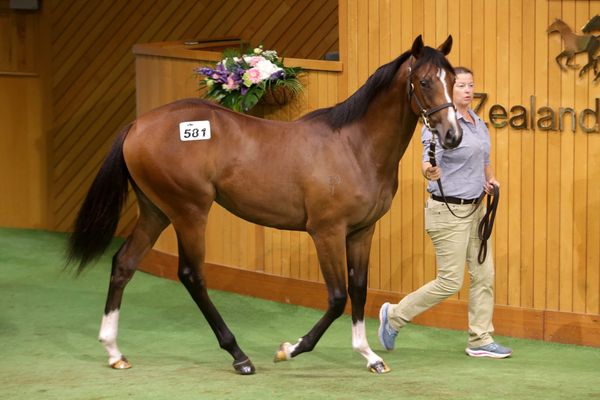 <strong>Proisir in-vogue at Karaka</strong>