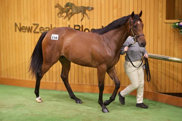 <strong>Moses digs deep for quality filly</strong>