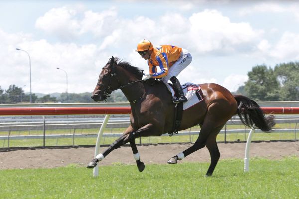 <strong>Maven Belle makes scintillating return</strong>