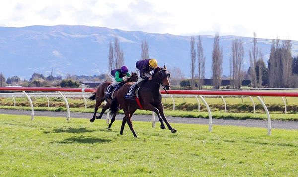 Sadler's Lass getting better with age: Kennedy