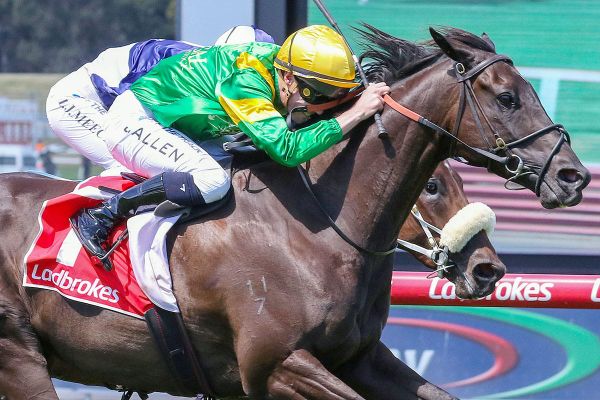 Former Kiwis on song at Sandown