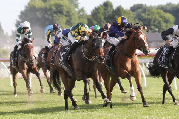 Phantom Dragon winning at Te Rapa. Photo: Trish Dunell