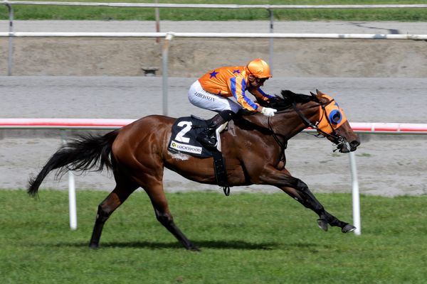 Romancing The Moon ready for next stakes assignment