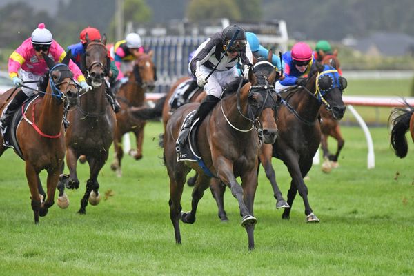 Sharrock’s Cup contenders thriving