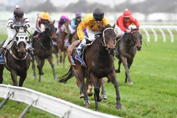 <strong>Subtle Point ready to go one better in Marton Cup</strong>