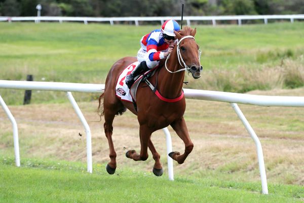 The Buffer puts margin on Nuggets rivals