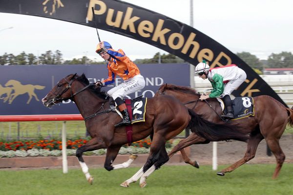 Tokyo Tycoon in stunning Karaka Million win