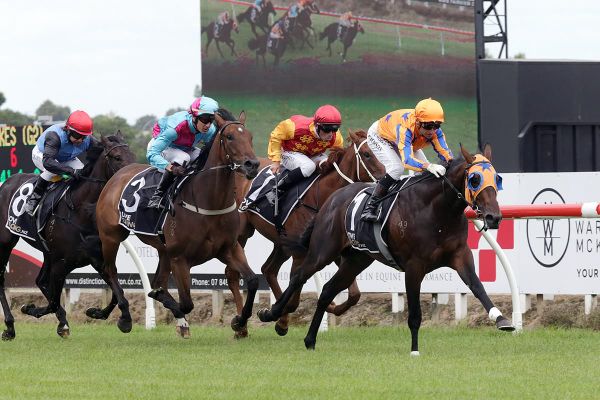 Windsor Park well-represented in Karaka Million