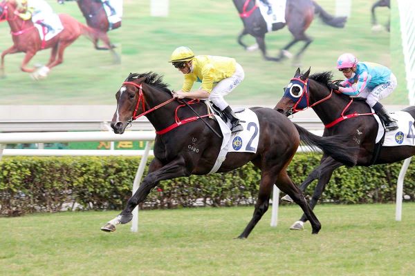 Manfred Man chases G1 Centenary Sprint Cup glory with Lucky Sweynesse