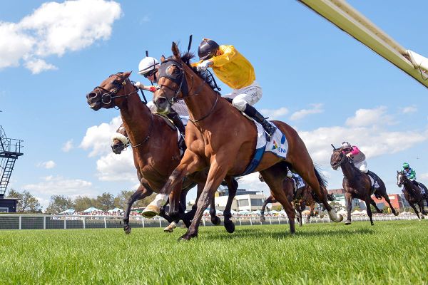 Callsign Mav seeking more Group One spoils