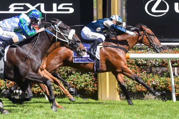 I Wish I Win proves sprinting credentials