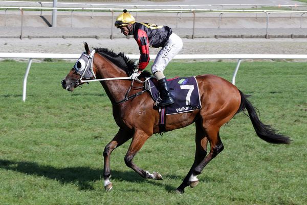 Creator to join Price-Kent